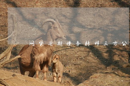 网贷逾期债务转移三方公司 网贷逾期债务转移三方公司