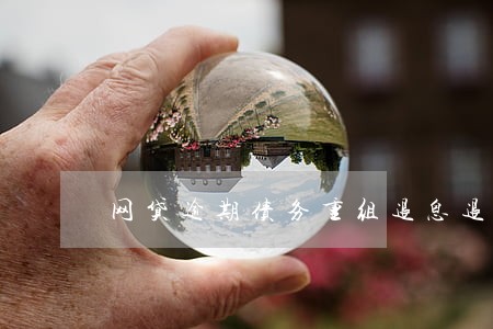 网贷逾期债务重组退息退保