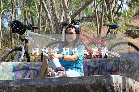 网贷逾期债权置换 网贷逾期债权置换