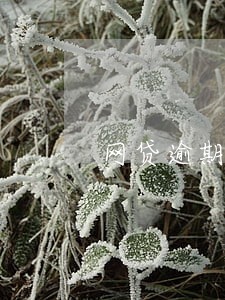 网贷逾期债权转移后可以仲裁吗 网贷逾期债权转移后可以仲裁吗