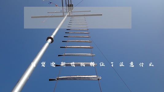 网贷逾期债权转让了注意什么 网贷逾期债权转让了注意什么