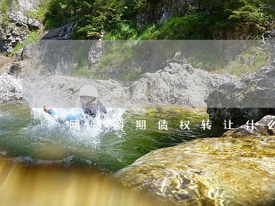 网贷逾期债权转让什么意思 网贷逾期债权转让什么意思