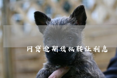 网贷逾期债权转让利息 网贷逾期债权转让利息