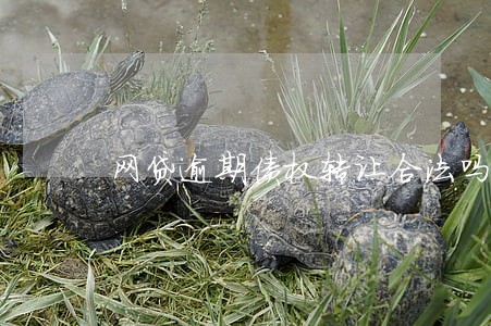 网贷逾期债权转让合法吗 网贷逾期债权转让合法吗