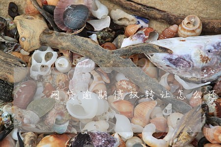 网贷逾期债权转让怎么还你 网贷逾期债权转让怎么还你