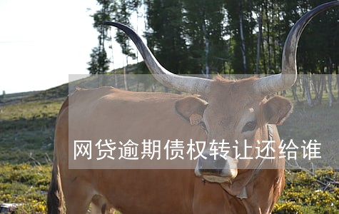 网贷逾期债权转让还给谁 网贷逾期债权转让还给谁