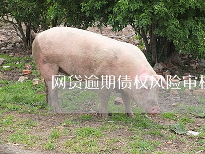 网贷逾期债权风险审核是什么 网贷逾期债权风险审核是什么