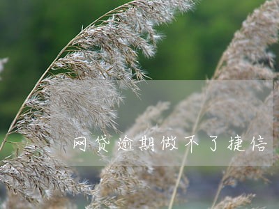 网贷逾期做不了捷信