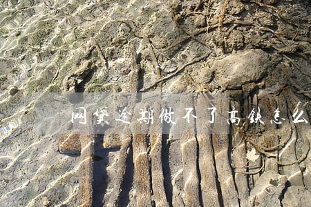 网贷逾期做不了高铁怎么办 网贷逾期做不了高铁怎么办