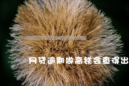 网贷逾期做高铁会查得出来吗 网贷逾期做高铁会查得出来吗
