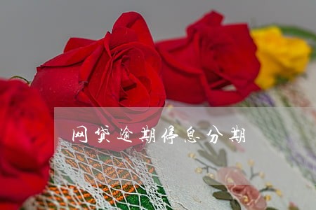 网贷逾期停息分期