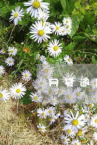 网贷逾期停机