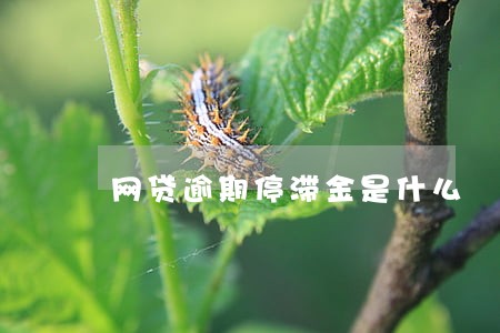 网贷逾期停滞金是什么 网贷逾期停滞金是什么