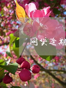 网贷逾期偿还关闭网贷 网贷逾期偿还关闭网贷