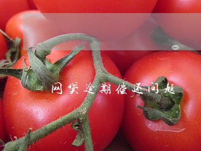 网贷逾期偿还问题 网贷逾期偿还问题