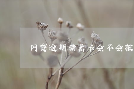 网贷逾期储蓄卡会不会被冻结 网贷逾期储蓄卡会不会被冻结