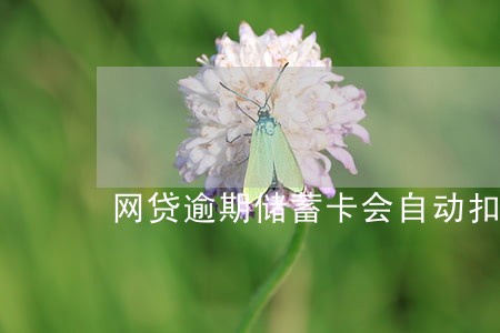 网贷逾期储蓄卡会自动扣款 网贷逾期储蓄卡会自动扣款