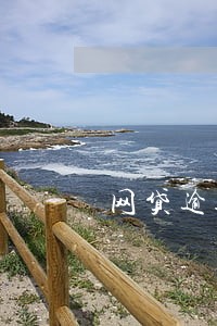 网贷逾期储蓄卡被锁定 网贷逾期储蓄卡被锁定