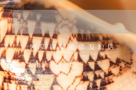 网贷逾期催债发短信 网贷逾期催债发短信