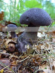 网贷逾期催债找上门 网贷逾期催债找上门