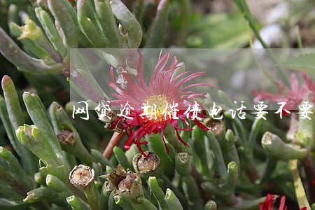 网贷逾期催债电话要不要接 网贷逾期催债电话要不要接