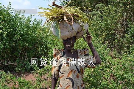 网贷逾期催家人 网贷逾期催家人