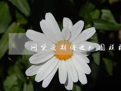 网贷逾期催收p图模板 网贷逾期催收p图模板