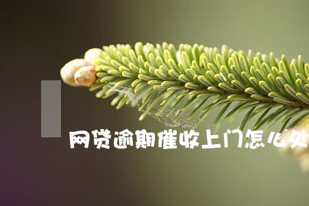 网贷逾期催收上门怎么处理 网贷逾期催收上门怎么处理
