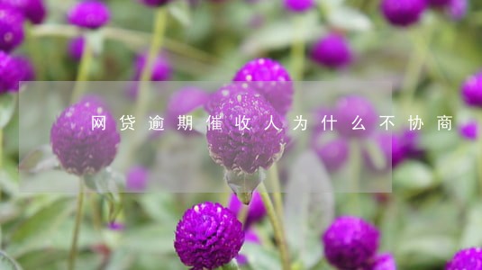 网贷逾期催收人为什么不协商 网贷逾期催收人为什么不协商
