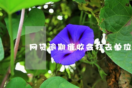 网贷逾期催收会打去单位吗