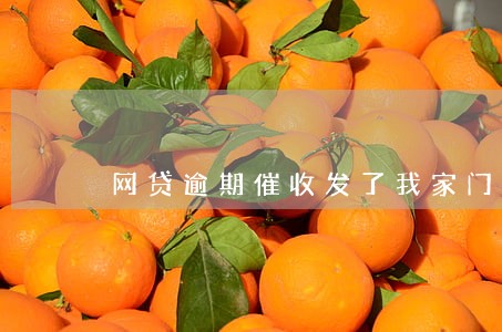 网贷逾期催收发了我家门头照 网贷逾期催收发了我家门头照