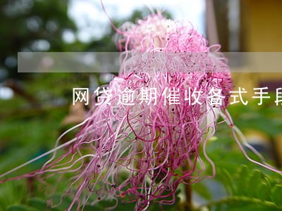 网贷逾期催收各式手段 网贷逾期催收各式手段
