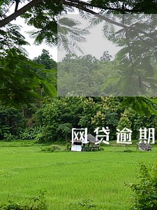 网贷逾期催收合法