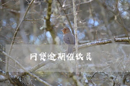 网贷逾期催收员 网贷逾期催收员