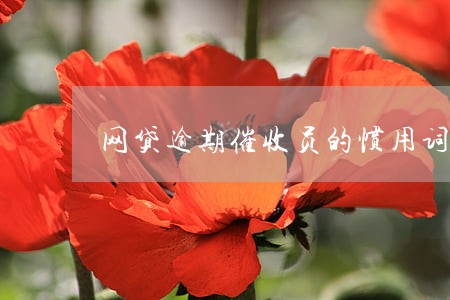 网贷逾期催收员的惯用词 网贷逾期催收员的惯用词