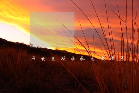 网贷逾期催收态度很差 网贷逾期催收态度很差