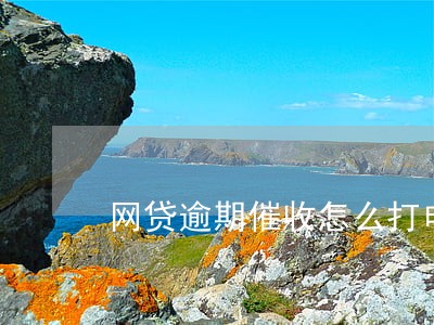 网贷逾期催收怎么打电话 网贷逾期催收怎么打电话