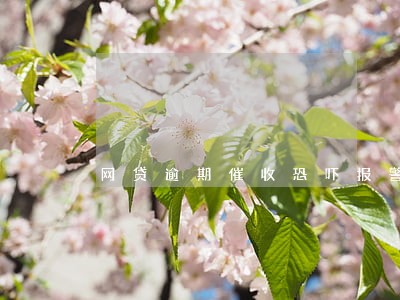 网贷逾期催收恐吓报警
