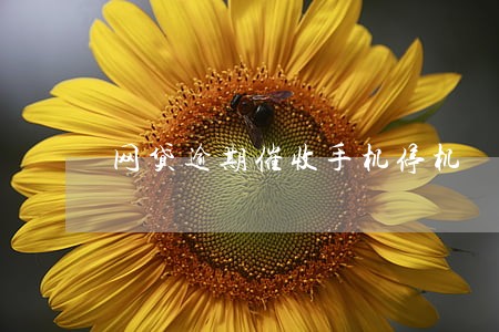 网贷逾期催收手机停机 网贷逾期催收手机停机