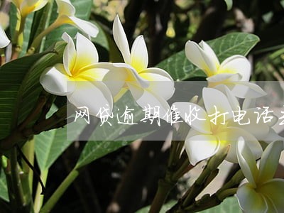网贷逾期催收打电话去村委会