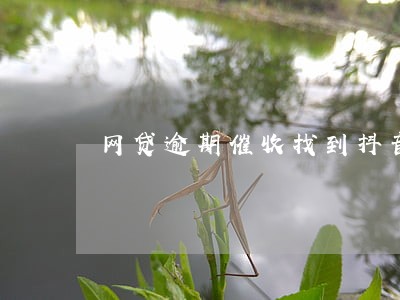网贷逾期催收找到抖音 网贷逾期催收找到抖音
