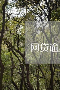 网贷逾期催收找到新公司 网贷逾期催收找到新公司