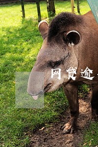 网贷逾期催收报警会怎样 网贷逾期催收报警会怎样