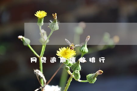 网贷逾期催收排行