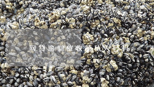 网贷逾期催收是私人号码 网贷逾期催收是私人号码