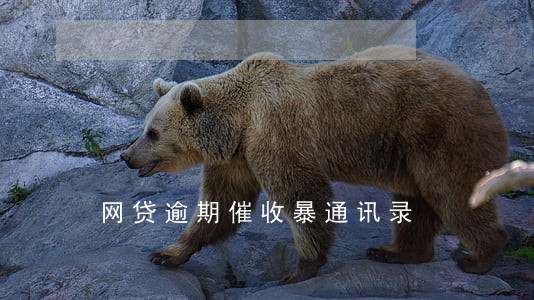 网贷逾期催收暴通讯录 网贷逾期催收暴通讯录