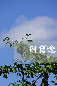 网贷逾期催收最厉害的平台 网贷逾期催收最厉害的平台