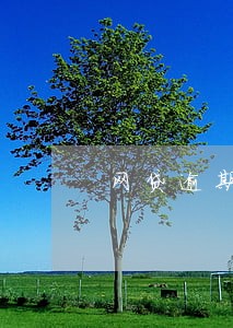 网贷逾期催收朋友也骂我 网贷逾期催收朋友也骂我
