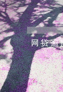 网贷逾期催收模板 网贷逾期催收模板