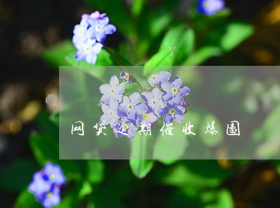 网贷逾期催收爆图 网贷逾期催收爆图